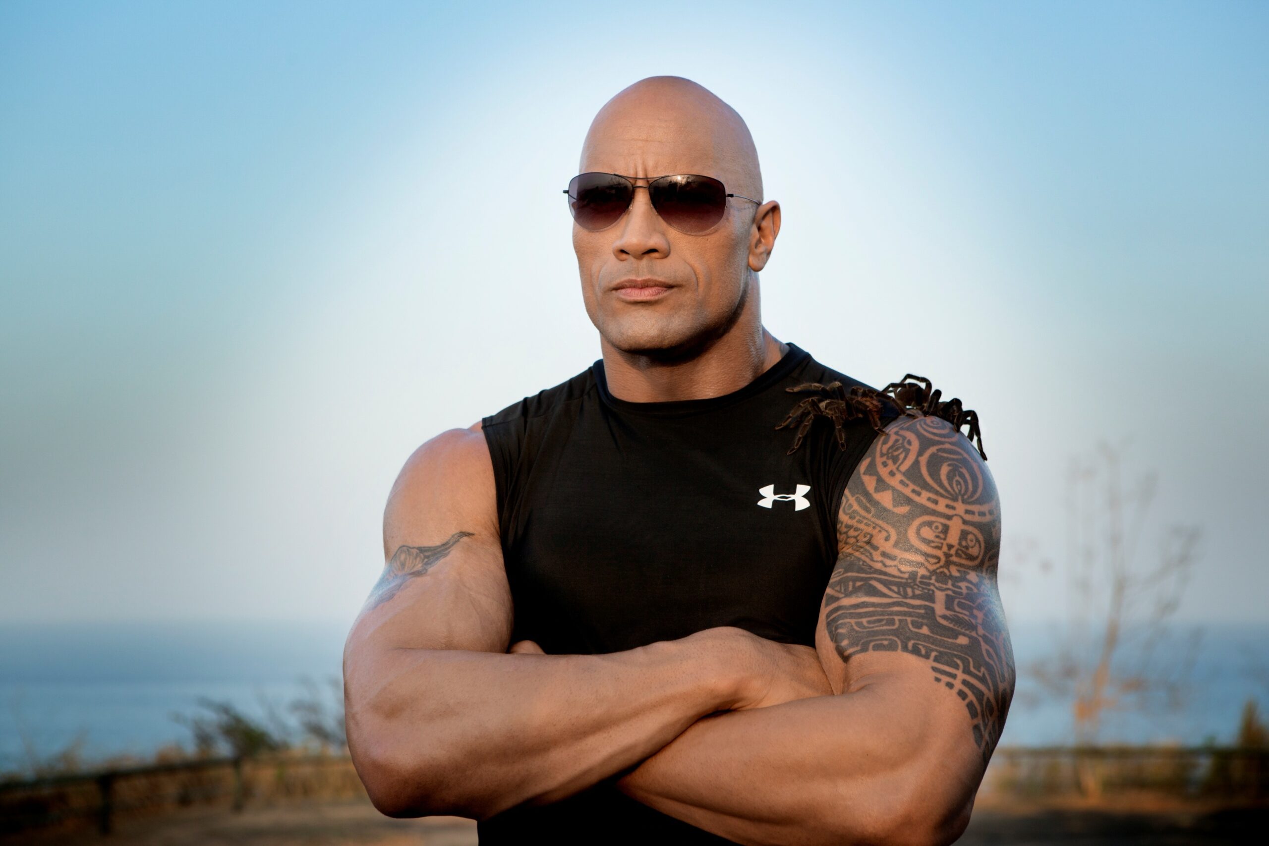 Dwayne Johnson Net Worth: Best Insights for 2024